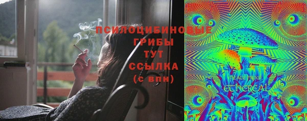 марки lsd Белокуриха