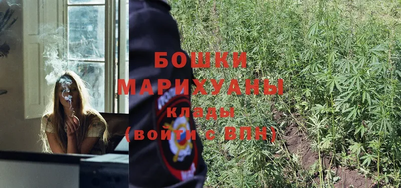 МАРИХУАНА Bruce Banner  продажа наркотиков  Котовск 